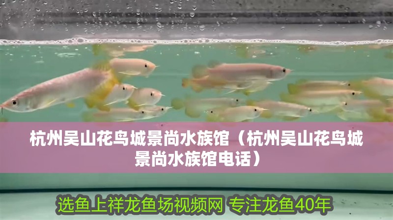 杭州吳山花鳥城景尚水族館（杭州吳山花鳥城景尚水族館電話）