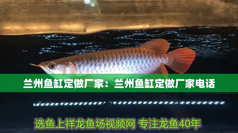蘭州魚缸定做廠家：蘭州魚缸定做廠家電話