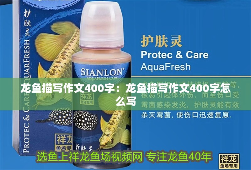 龍魚描寫作文400字：龍魚描寫作文400字怎么寫