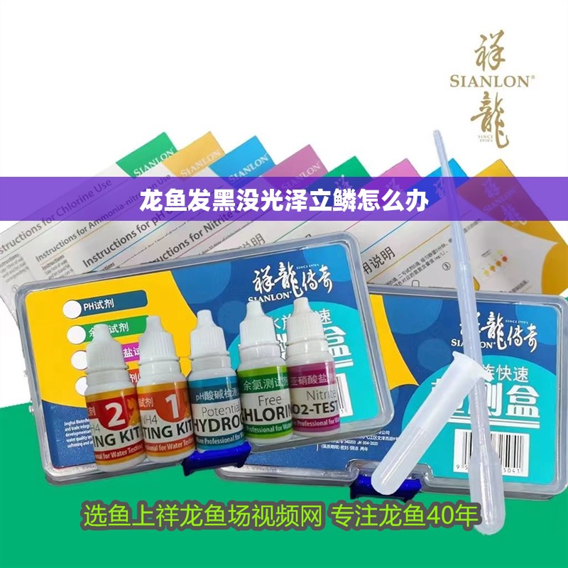 龍魚發黑沒光澤立鱗怎么辦