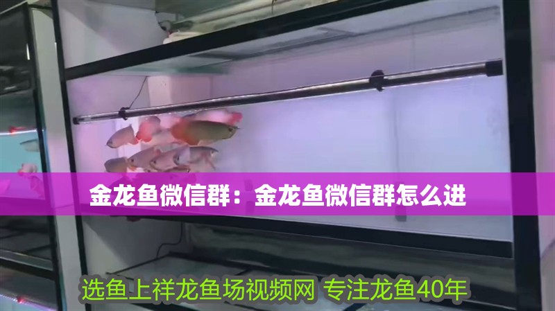 森森水泵改造除油膜：森森水泵改造除油膜工具需要注意以下幾點