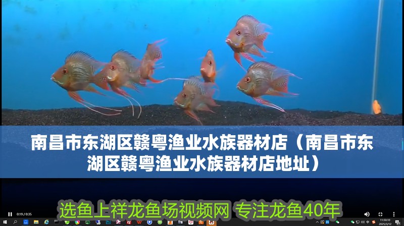 南昌市東湖區贛粵漁業水族器材店（南昌市東湖區贛粵漁業水族器材店地址）