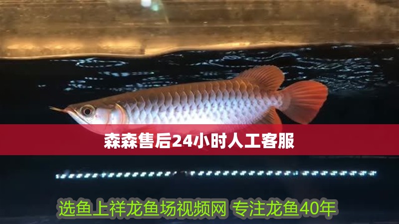 森森售后24小時人工客服