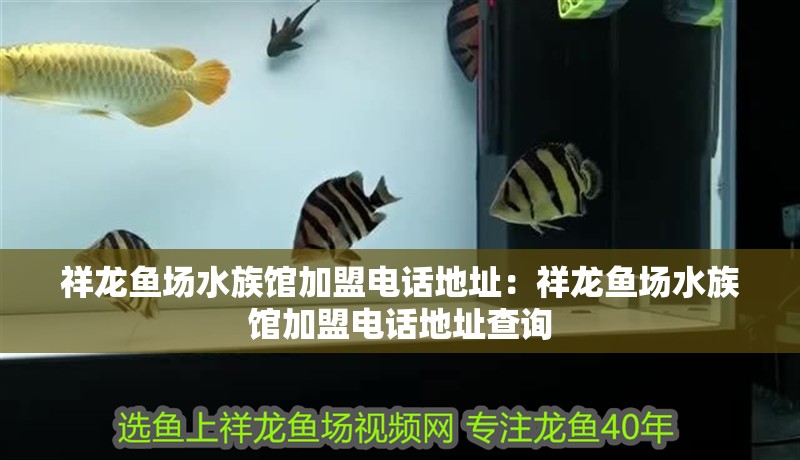 祥龍魚場(chǎng)水族館加盟電話地址：祥龍魚場(chǎng)水族館加盟電話地址查詢