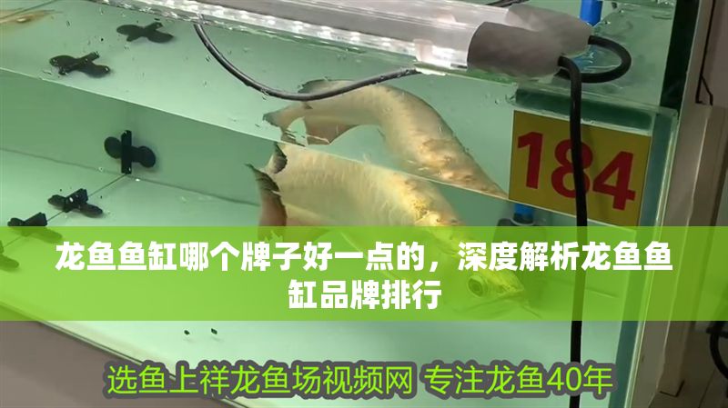 龍魚魚缸哪個牌子好一點的，深度解析龍魚魚缸品牌排行