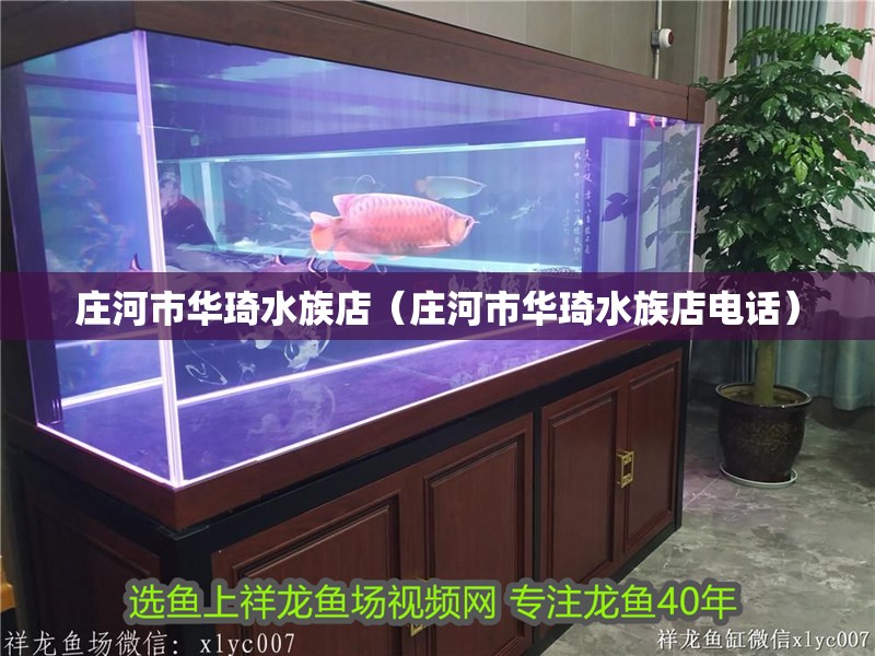 莊河市華琦水族店（莊河市華琦水族店電話）