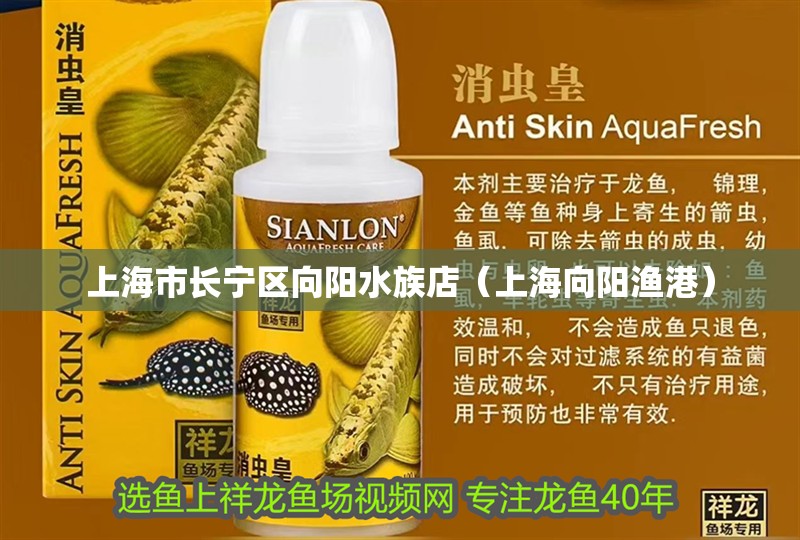 上海市長寧區向陽水族店（上海向陽漁港）