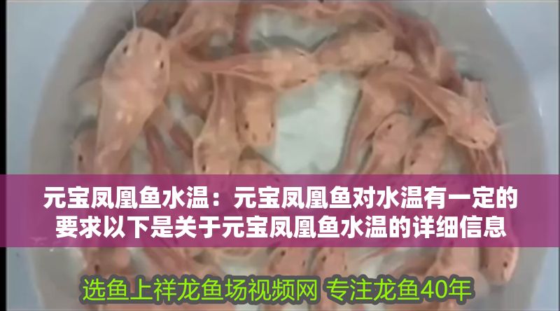 元寶鳳凰魚水溫：元寶鳳凰魚對水溫有一定的要求以下是關(guān)于元寶鳳凰魚水溫的詳細(xì)信息