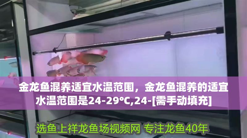金龍魚混養適宜水溫范圍，金龍魚混養的適宜水溫范圍是24-29℃,24-[需手動填充]