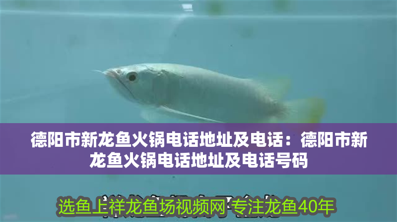 德陽市新龍魚火鍋電話地址及電話：德陽市新龍魚火鍋電話地址及電話號(hào)碼