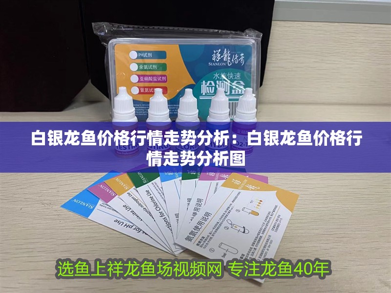白銀龍魚價格行情走勢分析：白銀龍魚價格行情走勢分析圖