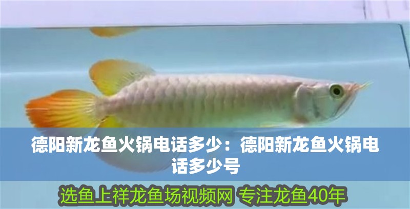 德陽(yáng)新龍魚火鍋電話多少：德陽(yáng)新龍魚火鍋電話多少號(hào)