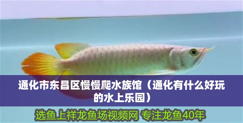 通化市東昌區慢慢爬水族館（通化有什么好玩的水上樂園）