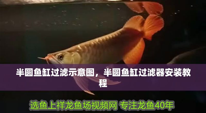 半圓魚缸過濾示意圖，半圓魚缸過濾器安裝教程