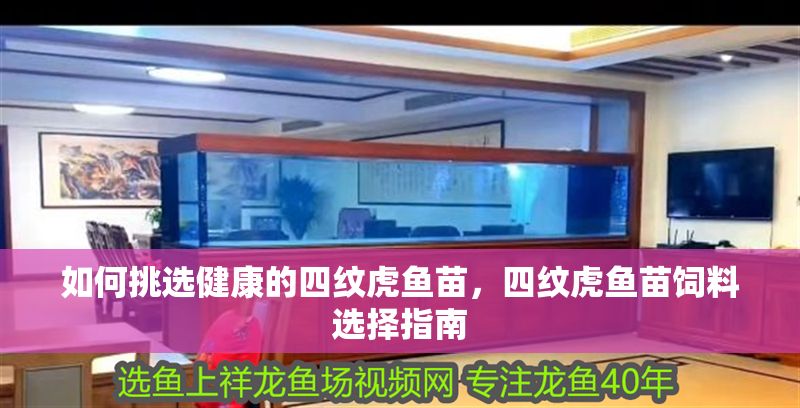 如何挑選健康的四紋虎魚苗，四紋虎魚苗飼料選擇指南