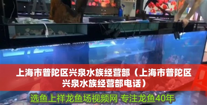 上海市普陀區興泉水族經營部（上海市普陀區興泉水族經營部電話）