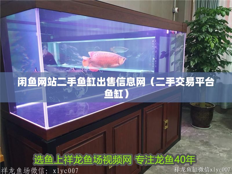 閑魚網(wǎng)站二手魚缸出售信息網(wǎng)（二手交易平臺(tái)魚缸）