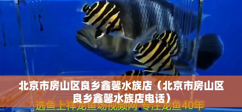 北京市房山區良鄉鑫馨水族店（北京市房山區良鄉鑫馨水族店電話）