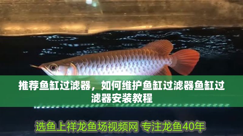 推薦魚缸過濾器，如何維護魚缸過濾器魚缸過濾器安裝教程