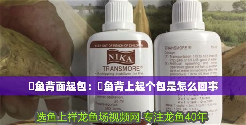 魟魚背面起包：魟魚背上起個包是怎么回事