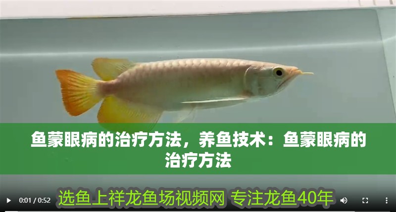 魚蒙眼病的治療方法，養魚技術：魚蒙眼病的治療方法