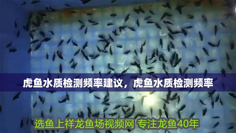虎魚水質(zhì)檢測頻率建議，虎魚水質(zhì)檢測頻率