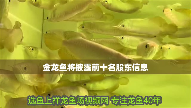 金龍魚將披露前十名股東信息