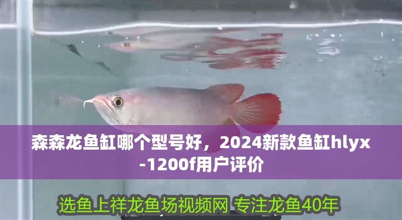 森森龍魚缸哪個型號好，2024新款魚缸hlyx-1200f用戶評價