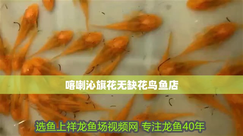喀喇沁旗花無(wú)缺花鳥(niǎo)魚店