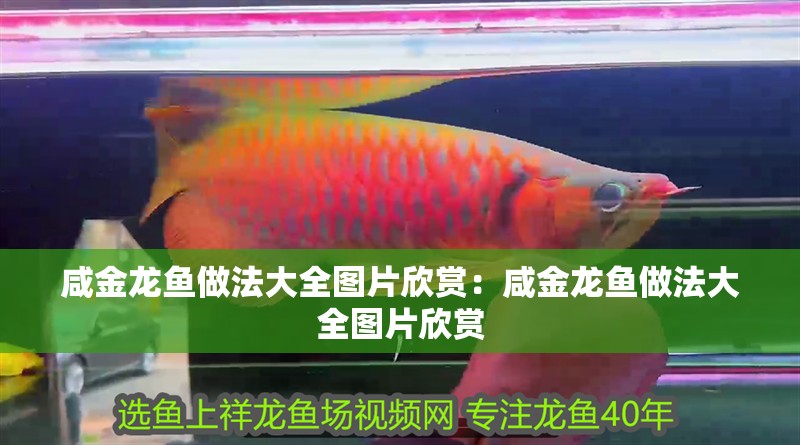 咸金龍魚做法大全圖片欣賞：咸金龍魚做法大全圖片欣賞