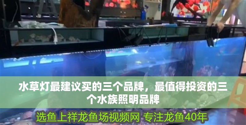 水草燈最建議買的三個品牌，最值得投資的三個水族照明品牌
