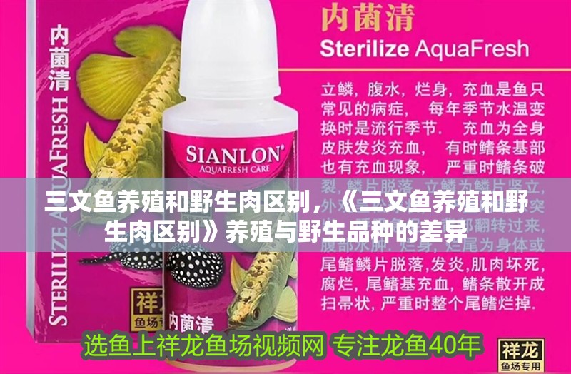 三文魚養殖和野生肉區別，《三文魚養殖和野生肉區別》養殖與野生品種的差異