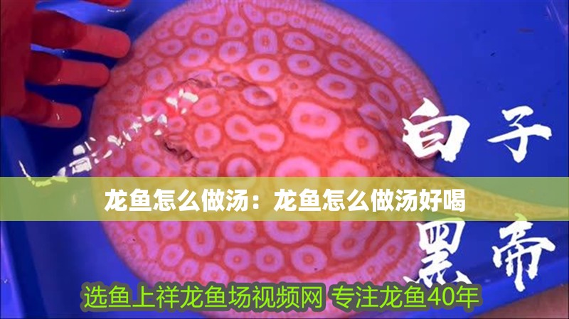 龍魚怎么做湯：龍魚怎么做湯好喝