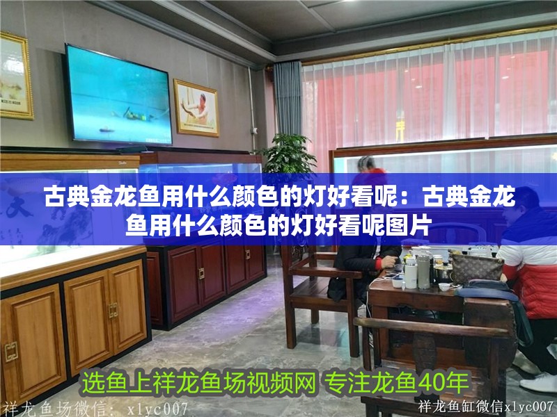 古典金龍魚用什么顏色的燈好看呢：古典金龍魚用什么顏色的燈好看呢圖片