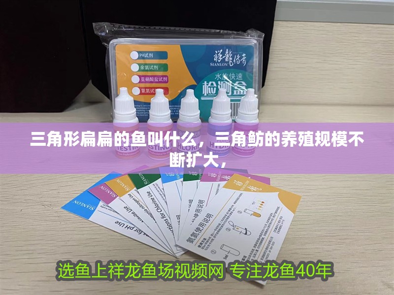 三角形扁扁的魚叫什么，三角魴的養殖規模不斷擴大，