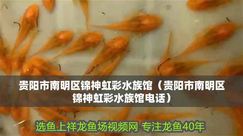 貴陽市南明區錦神虹彩水族館（貴陽市南明區錦神虹彩水族館電話）