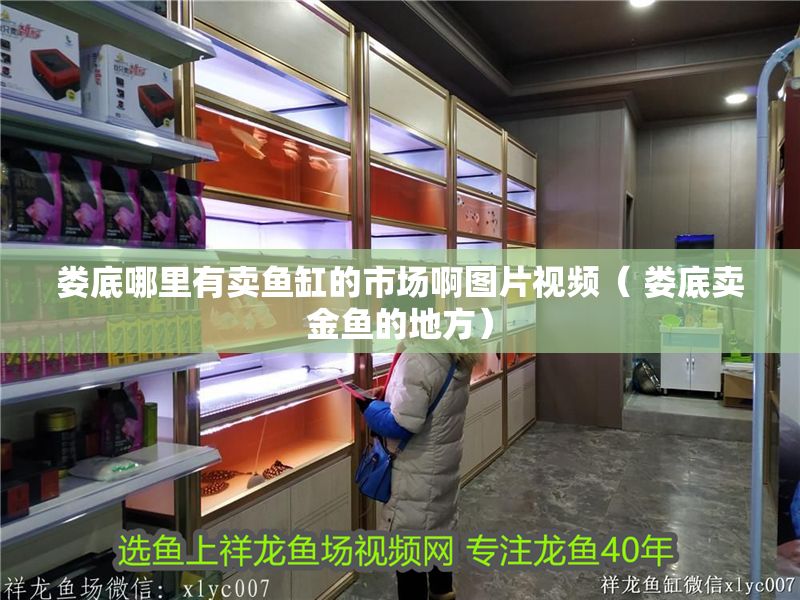 婁底哪里有賣魚(yú)缸的市場(chǎng)啊圖片視頻（ 婁底賣金魚(yú)的地方）