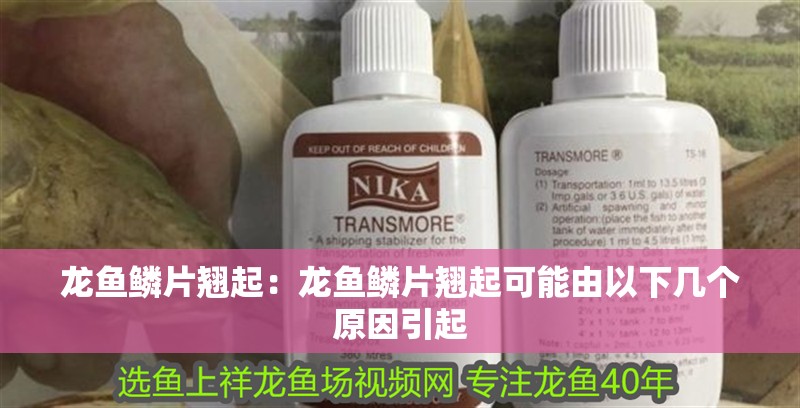 龍魚(yú)鱗片翹起：龍魚(yú)鱗片翹起可能由以下幾個(gè)原因引起