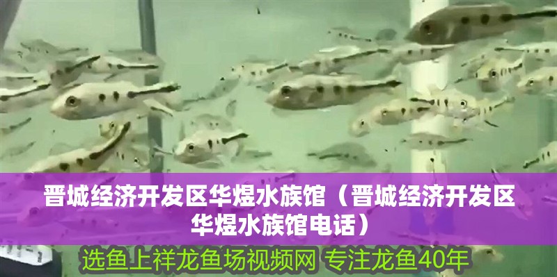 晉城經(jīng)濟(jì)開(kāi)發(fā)區(qū)華煜水族館（晉城經(jīng)濟(jì)開(kāi)發(fā)區(qū)華煜水族館電話）