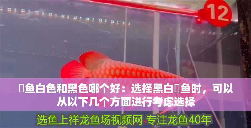 魟魚白色和黑色哪個好：選擇黑白魟魚時，可以從以下幾個方面進行考慮選擇