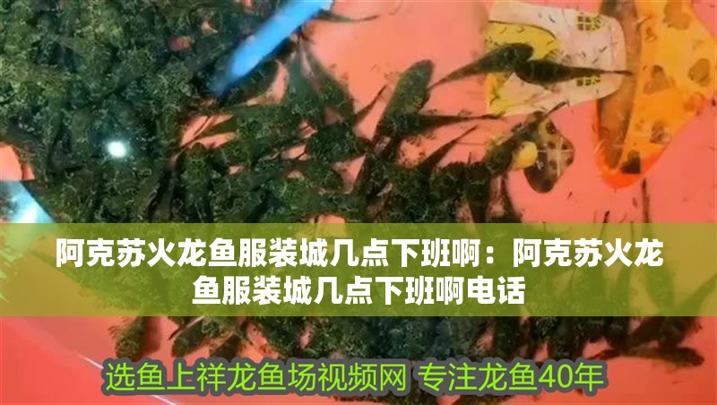 阿克蘇火龍魚服裝城幾點下班啊：阿克蘇火龍魚服裝城幾點下班啊電話