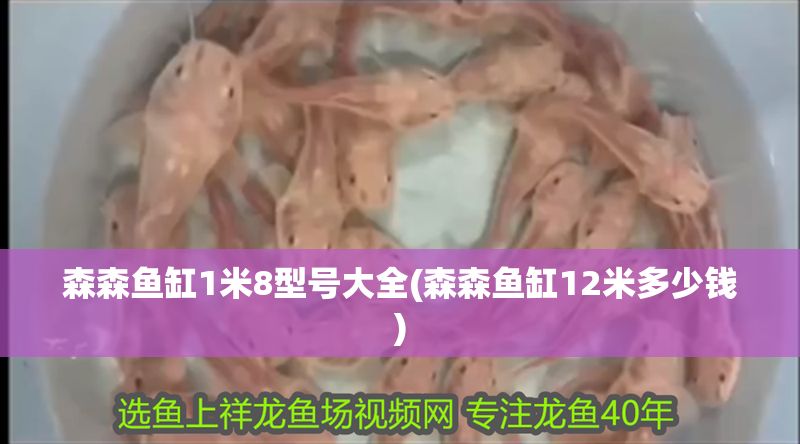 森森魚缸1米8型號大全(森森魚缸12米多少錢)