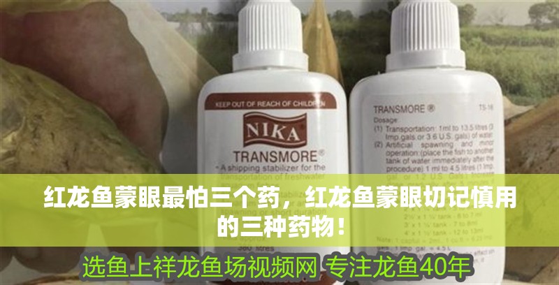 紅龍魚(yú)蒙眼最怕三個(gè)藥，紅龍魚(yú)蒙眼切記慎用的三種藥物！