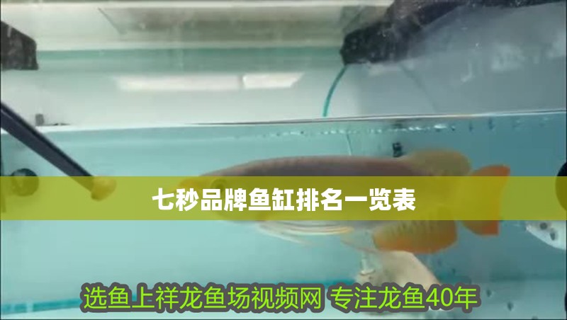 七秒品牌魚缸排名一覽表