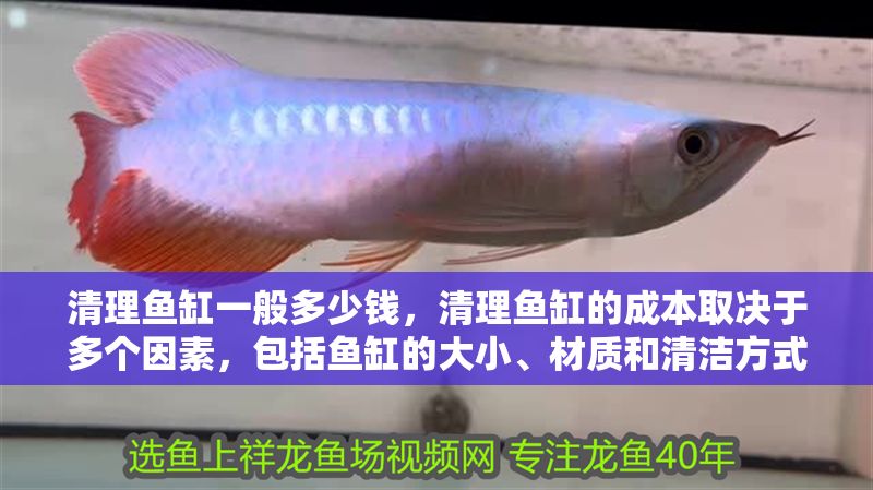 清理魚缸一般多少錢，清理魚缸的成本取決于多個因素，包括魚缸的大小、材質和清潔方式