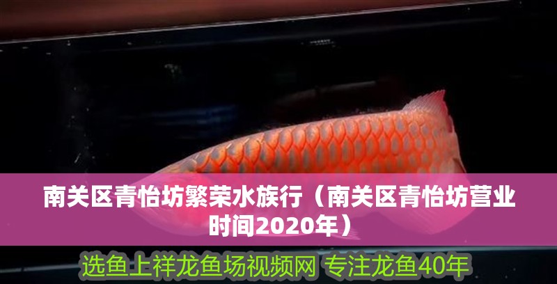南關區青怡坊繁榮水族行（南關區青怡坊營業時間2020年） 南關區青怡坊繁榮水族行（南關區青怡坊營業時間2020年） 全國水族館企業名錄 第1張