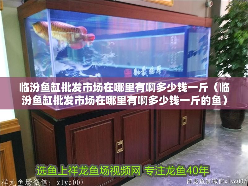 臨汾魚缸批發市場在哪里有啊多少錢一斤（臨汾魚缸批發市場在哪里有啊多少錢一斤的魚）
