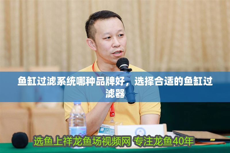 魚缸過濾系統哪種品牌好，選擇合適的魚缸過濾器