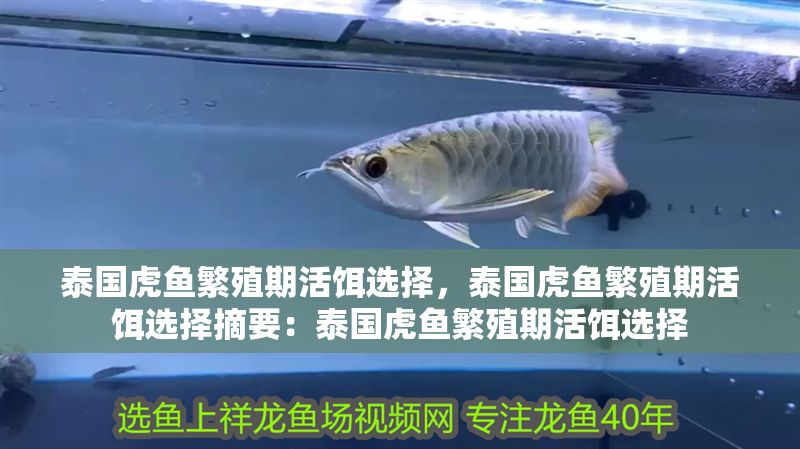 泰國虎魚繁殖期活餌選擇，泰國虎魚繁殖期活餌選擇摘要：泰國虎魚繁殖期活餌選擇