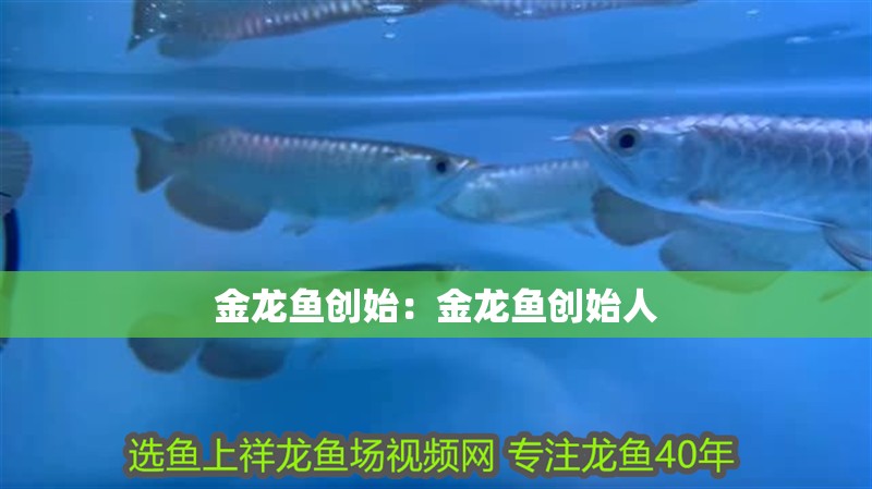金龍魚創始：金龍魚創始人